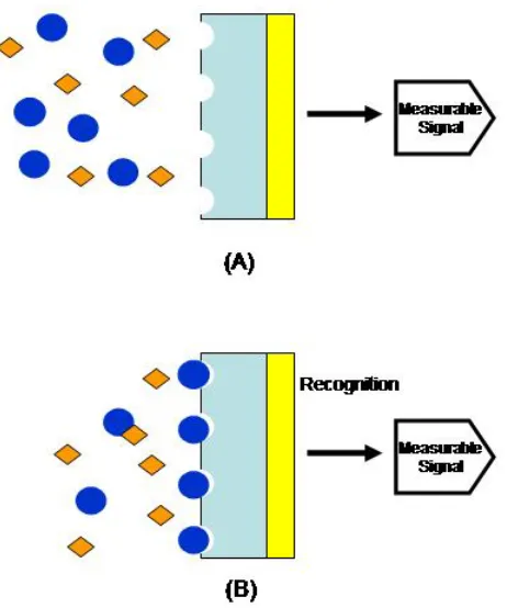 Figure 2.1: (A) Arrangement of a typical biosensor, where the combination of a bioactive material and a transducer is surrounded by analytes