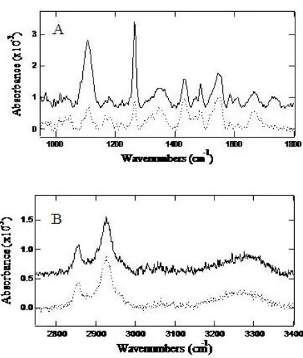 Figure 4.5: PM – IRRAS spectra of a PBA – SAM exposed (solid spectrum) to 3 mM glucose solution for 30 minutes and a PBA – SAM not exposed (dashed spectrum)