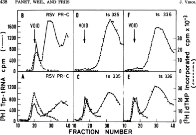 FIG. 3.(A,pug);preincubated Inactivation of trp-tRNA binding activity in LA 335 and LA 336