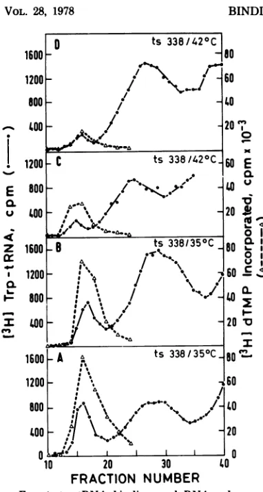 FIG. 4.ductedactivities35°Ccubatedbeforecubated,atwas 42°C trp-tRNA binding and DNA polymerase in LA 338