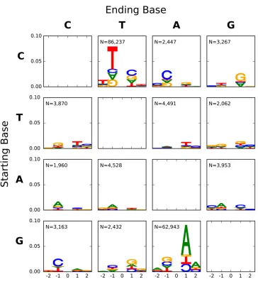 Figure 5 Panel offrom all 12 point mutations from themalignant melanoma sample. Startingbase, Ending Base correspond to X, Y,respectively, in Xand thetive to the mutated base