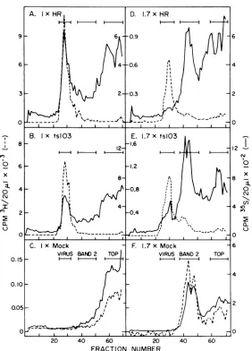 FIG.1.postlabel.Samplesmethionine Preparative isopycnic gradients of Ix and 1.7x regions from HR, ts103, and mock infections