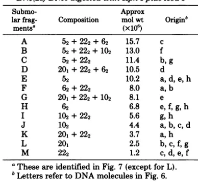 TABLE 2. Composition of submolar fragments fromBx1(28) DNA digested with Kpn Iplus Xba I