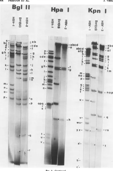 FIG. 2-Continued.