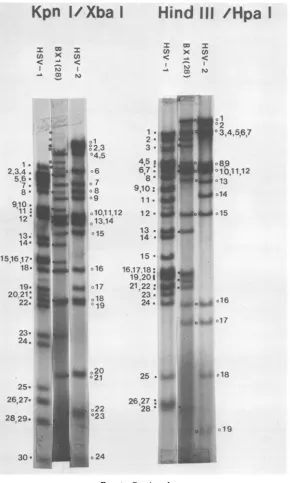 FIG. 4-Continued.