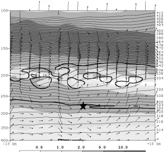 Figure 2.21:  Vertical cross-section of NHMASS-simulated y-z plane (a, north is left) and x-z -1-4