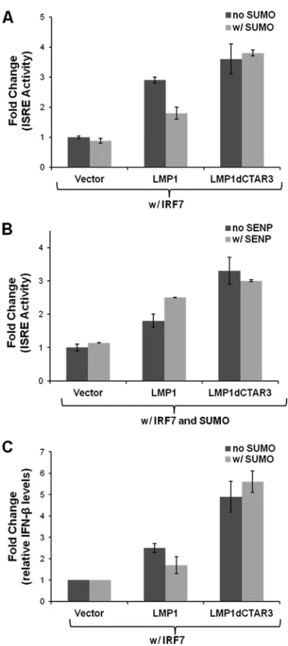 FIG 6 LMP1-induced sumoylation of IRF7 limits its transcriptional activity.