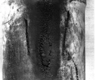 Figure 2-3  Cavitation on a cylinder liner  