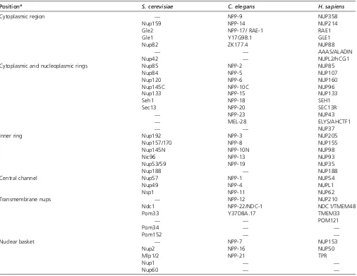 Table 1 NPPs in the yeast Saccharomyces cerevisiae, C. elegans, and humans