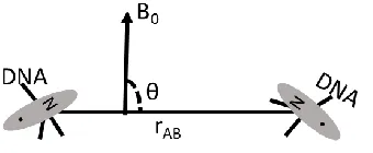 Figure 4: Electron-electron dipolar spin interaction where B0 is the magnetic field and θ is the angle of the distance vector, rAB (modified13) 