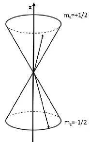 Figure 8: Representation of angular momentum of an electron in an external magnetic field along the z-axis through vector precession with parallel and anti-parallel distribution18 