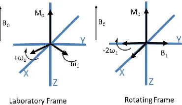 Figure 9: Depiction of magnetization in reference frames (redrawn17) 