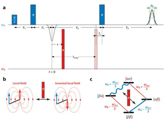 Figure 13: Theoretical DEER spectrum where the two spin packets have a difference in the frequency precession, ωee (obtained from reference24)   