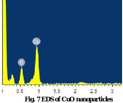 Fig. 6 FESEM image of CuO nanoparticles  