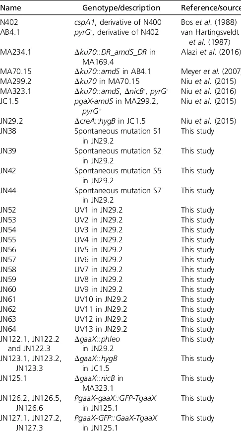 Table 1 Aspergillus niger strains used in this study