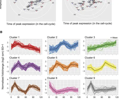 Figure 5 Sine wave analysis and clustering of gene expression changes in WT andindicated differences in the phasing of gene expression, whereas lines perpendicular to the time coordinate indicate differences in expression amplitude.The two plots show data 