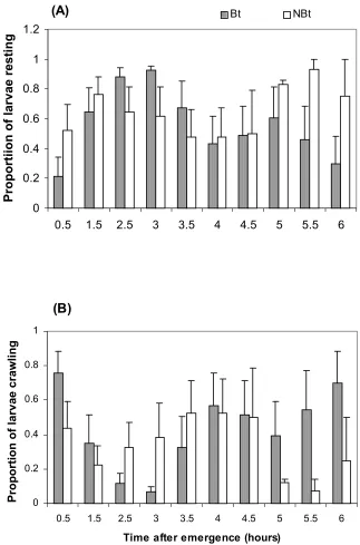 Fig. 3. Proportion of fall armyworm neonate present in Bt-transgenic andconventional corn engaged in (A) resting, and (B) crawling behavior duringthe first 6 hours after emergence.