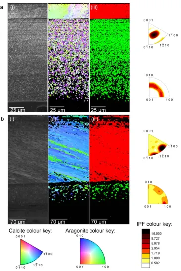 Figure 3. EBSD analysis of mussel shells grown under ((1000 the inner aragonite (lower area) for a, (i) diffraction intensity map (DI), (ii) crystallographic orientation map (orientation) according to colour key, [0001] plots are for calcite and [001] plot