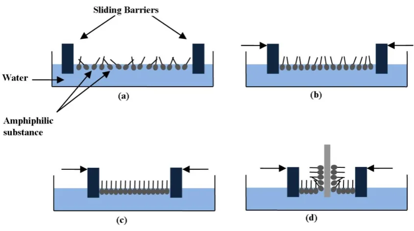 Fig 2-8 Surfactant molecules at different phases during monolayer compression a) Spreading of an amphiphile solution at the air/water interface so-called gas phase; b) compressing of the monolayer after solvent evaporation to a desired surface pressure, so
