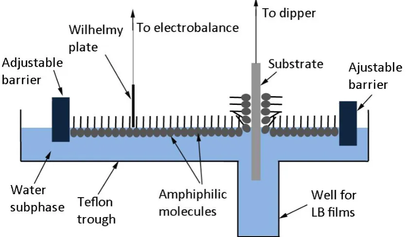Fig 2-10 Schematic of Langmuir-Blodgett setup. 