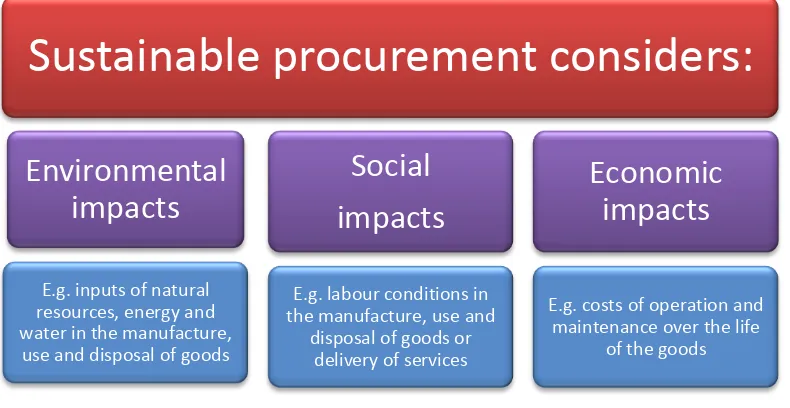 Figure 1: Key considerations in sustainable procurement decisions 