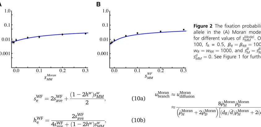 Figure 2 Thews ﬁxation probability of a fully recessiveallele in the (A) Moran model and (B) WF modelfor different values of sModelMM : Other parameters: N =100, fR = 0.5, bR ¼ bRR ¼ 1000; dR ¼ dRR ¼ 0:005;R ¼ wRR ¼ 1000; and sbM ¼ sbRM ¼ sfM ¼ sdM ¼ sdRM ¼dMM ¼ 0: See Figure 1 for further information.