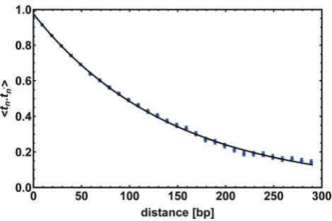 Fig. 3The tangent–tangent correlator ht(n)�t(n0)i computed for a chain300 bp long; it shows an exponential decay as in eqn (2) with a correlationlength lp = 143 � 7 bp
