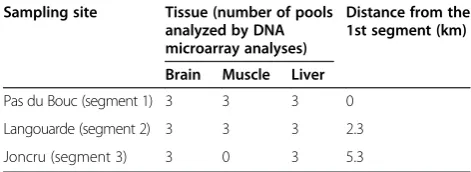 Table 1 Number of pools of tissue samples from eachsegment used for microarray analyses