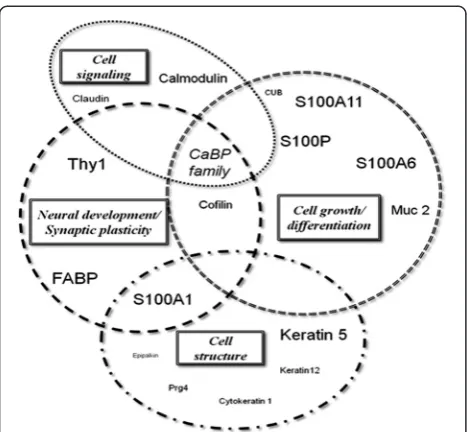 Figure 1 Biological functions of main genes differentially transcribedamong segments 3:1 and segments 3:2