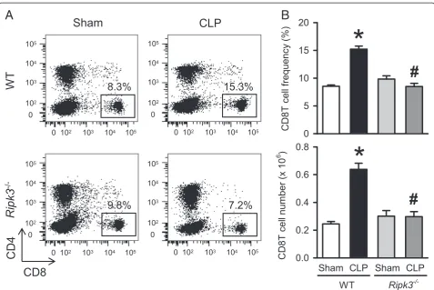 Figure 6 Ripk3−/− mice show decreased CD8T cells in liver after CLP. The liver tissues from WT and Ripk3−/− mice were harvested 20 hoursafter sham- or CLP-operation and hepatic leukocytes were isolated