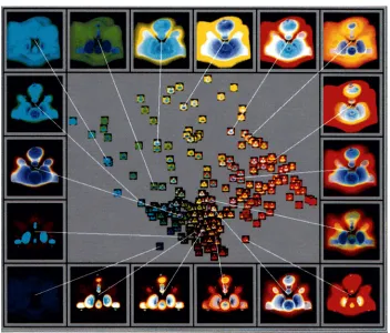 Figure 2.4: A visualization of image similarities in the Design Galleries technique. The glyphs represent thumb-nails of output images and the visual properties of the glyphs represent properties of the images.