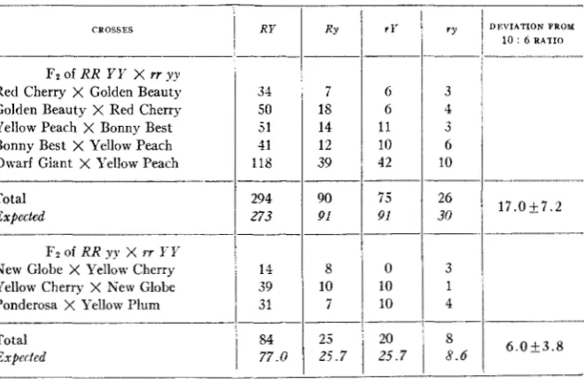 TABLE 2 