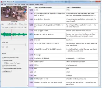 Figure 1: The interface of the transcription mode, showing two columns: transcriptions and the correspondingtranslations.