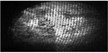 Fig. 2.7: Candle flame in the vertical fringe setting 