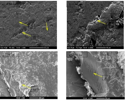 Figure 5.20: Micrographs of NE after adhesive testing—fg = fragmentation, so = softening, fr = fracture, df= deformation    