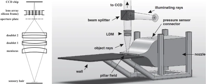 Figure 1:  left: schematic drawing of the channeling long distance microscope (LDM) to magnify regions (pillars) of interest [5], right: applied channeling LDM in an experimental setup for wall shear stress measurements [5]  