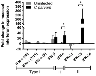 Figure 2. C. parvum stimulates ileum mucosal expression of IFN-λ3 and IFN-ɣ mRNA.  (A) Quantitative RT-PCR analysis of porcine ileum mucosal total cellular mRNA for the presence of IFN-α (isoforms all, 7/11, and 9), IFN-β, IFN-γ, and IFN-λ 1, 3, and 4