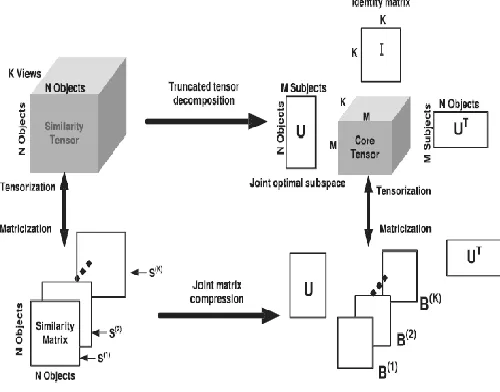 Fig 3. Joint matrix compression in MC-FR-OI  