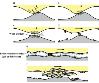 Figure 2. 6 Model of adhesive wear from the elementary process of generation of 