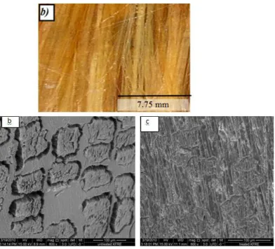 Figure 3. 3 SEM micrographs of cross-sections of KFRE composites: a) Photo of the 