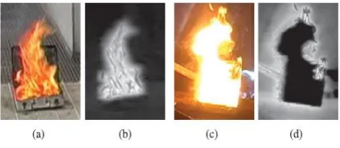 Fig. 2. OMT flow fields: fire with dynamic texture (left) and a white hat (right) moving up/right