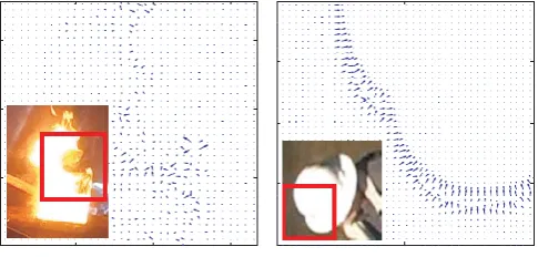 Fig. 4. NSD flow fields: saturated fire (left) and a white hat (right) moving up/right