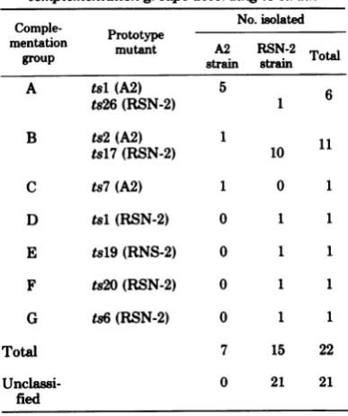 TABLE 5. The seven compiementation groups defined by inter- and intrastrain mixed infections