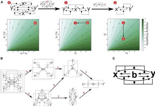 Figure 5 Redundancy results in bet-hedging that is robust to mutation. (A) Redundancy in the CRN implementing the DC switch maintains molecularthe deletion ofimplementing the AM molecular switch