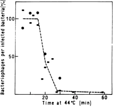 FIG. 5.phagesperimentalpererror,culturewasasinfection.varioustion,was percentages, Shift-down experiments