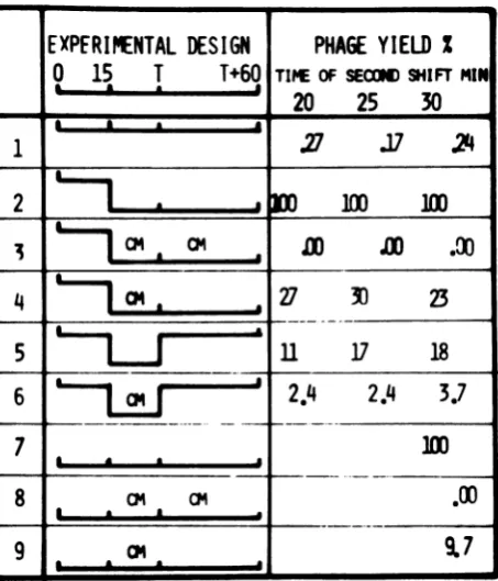 FIG. 6.parallel.370Cwith0.33);Five,44°Cofdeterminedcorrespond(71bacteriumThe Experiments combining temperature and chloramphenicol (CM) shifts