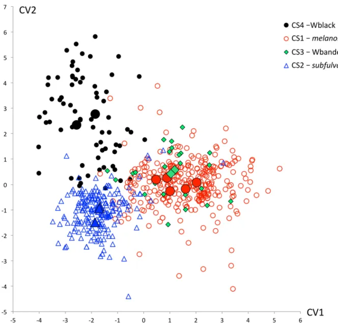 FIGURE 4. Ordination of individual specimens and OTU centroids of four of the mitochondrially defined candidate species of  the N