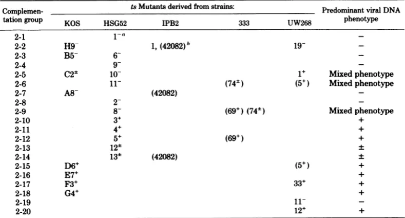 TABLE 8. HSV-I complementation groups