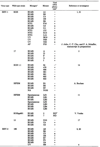 TABLE 1. Selectedproperties of the HSV-1 and HSV-2 ts mutants used in this study