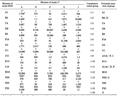 TABLE 2. Complementation between ts mutants of HSV-1 strains KOS and 17